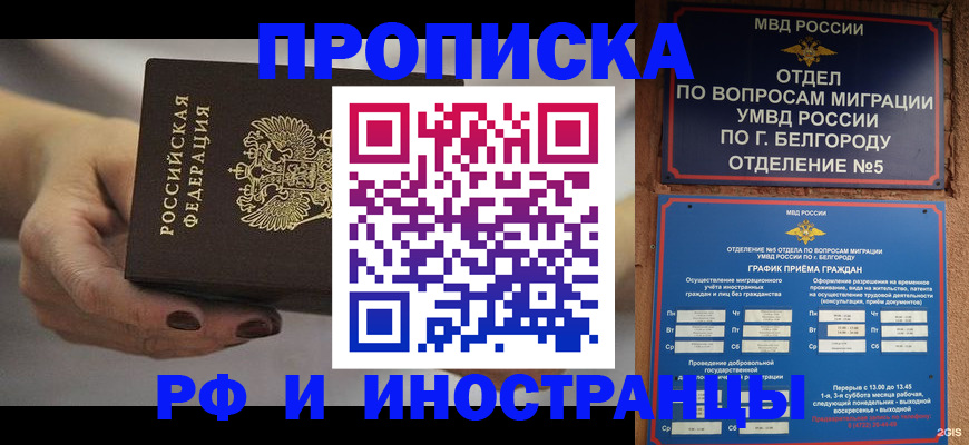 прописка штамп в Сураже